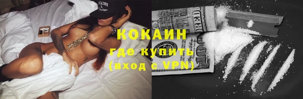 ПСИЛОЦИБИНОВЫЕ ГРИБЫ Богданович