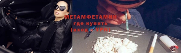 ПСИЛОЦИБИНОВЫЕ ГРИБЫ Богданович