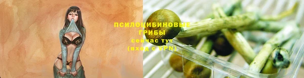 бутират Белокуриха